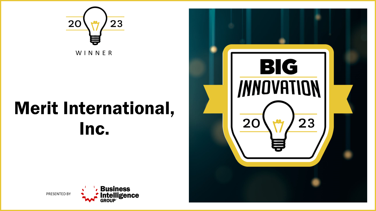 Merit BIG Innovation Awards 2023 